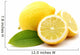 Lemons Wall Decal