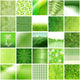Green Mosaic