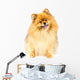 Pomeranian Dog Wall Decal