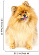Pomeranian Dog Wall Decal