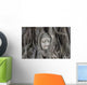 Buddha Statue Head Banyan
