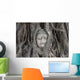 Buddha Statue Head Banyan