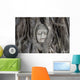 Buddha Statue Head Banyan
