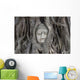 Buddha Statue Head Banyan