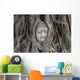 Buddha Statue Head Banyan