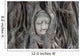 Buddha Statue Head Banyan