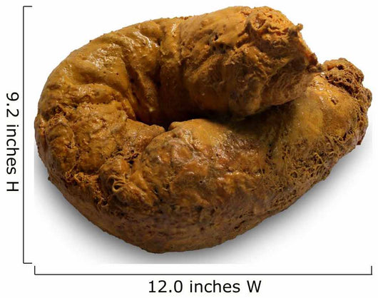 Poop