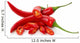 red chilly peppers with slices isolated on the white background Wall Decal