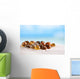 Bright Polymita Shells White Wall Decal
