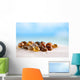 Bright Polymita Shells White Wall Decal