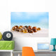 Bright Polymita Shells White Wall Decal