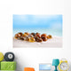 Bright Polymita Shells White Wall Decal