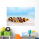 Bright Polymita Shells White Wall Decal
