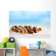 Bright Polymita Shells White Wall Decal