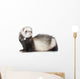 Young Ferret Wall Decal