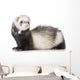 Young Ferret Wall Decal