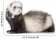Young Ferret Wall Decal
