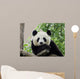 Panda Giant 3