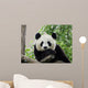 Panda Giant 3