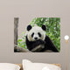 Panda Giant 3