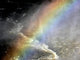 rainbow Wall Mural