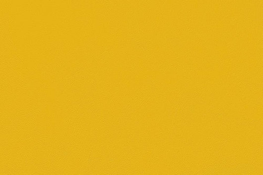 Well-done Dark Yellow Wall