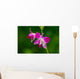 Beautiful Purple Orchid