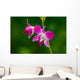 Beautiful Purple Orchid