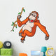Orangutan Cartoon