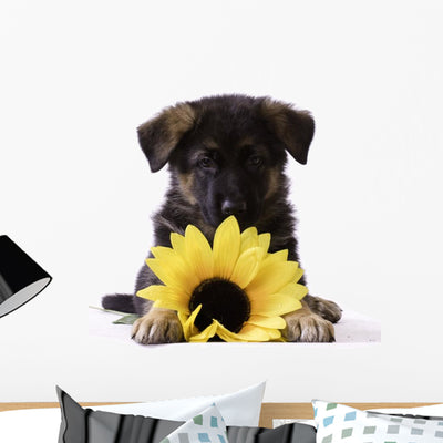 Puppy with Sunflower Wall Decal shown on a wall