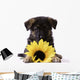 Puppy with Sunflower Wall Decal