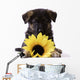 Puppy with Sunflower Wall Decal