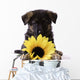 Puppy with Sunflower Wall Decal
