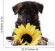 Puppy with Sunflower Wall Decal