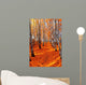 Autumn birch Wall Mural