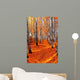 Autumn birch Wall Mural
