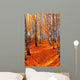 Autumn birch Wall Mural