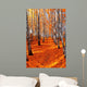Autumn birch Wall Mural