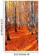 Autumn birch Wall Mural