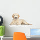 Golden Retriever Puppy Wall Decal