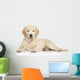 Golden Retriever Puppy Wall Decal