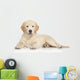 Golden Retriever Puppy Wall Decal