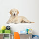 Golden Retriever Puppy Wall Decal