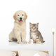 Cat and dog together Wall Decal
