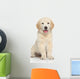 Golden Retriever Puppy Wall Decal