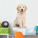 Golden Retriever Puppy Wall Decal