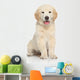 Golden Retriever Puppy Wall Decal