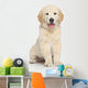 Golden Retriever Puppy Wall Decal