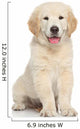 Golden Retriever Puppy Wall Decal