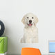 Golden Retriever Puppy Close-up Wall Decal